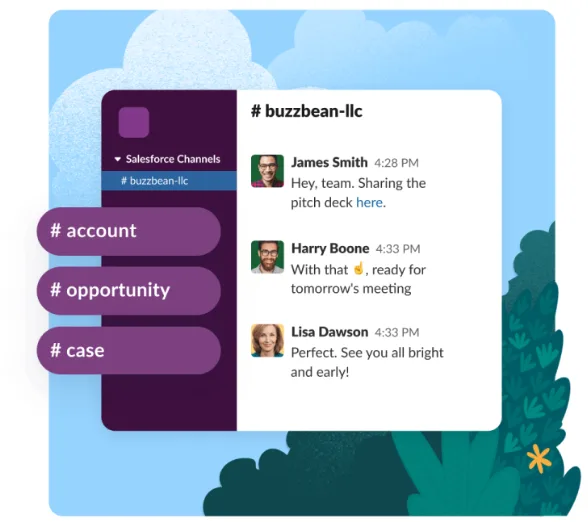 salesforce pro suite
