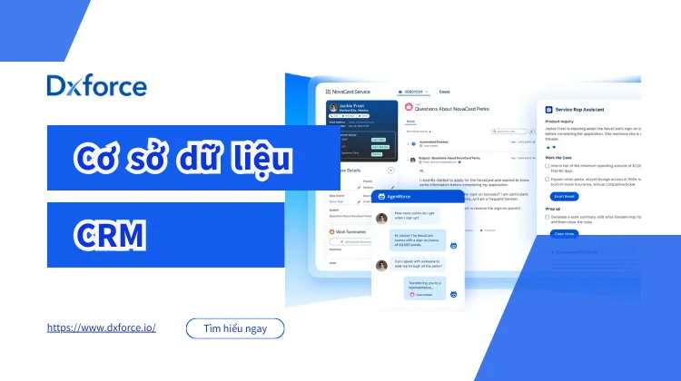 cơ sở dữ liệu crm